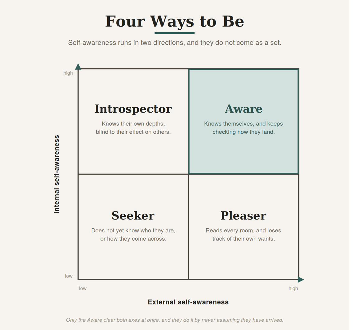 The four positions, internal by external self-awareness.