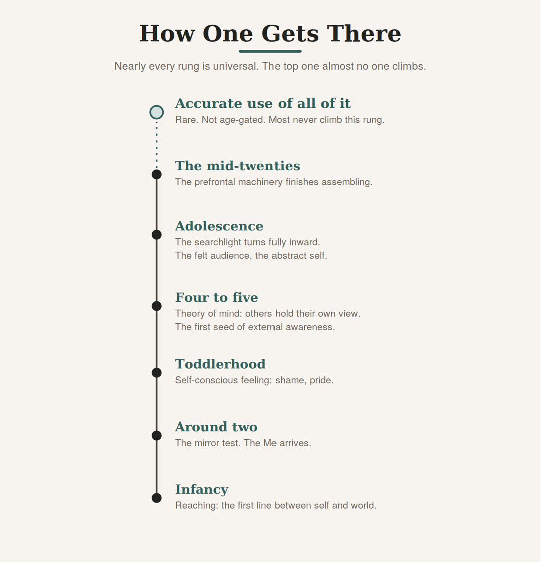 How self-awareness develops, rung by rung.