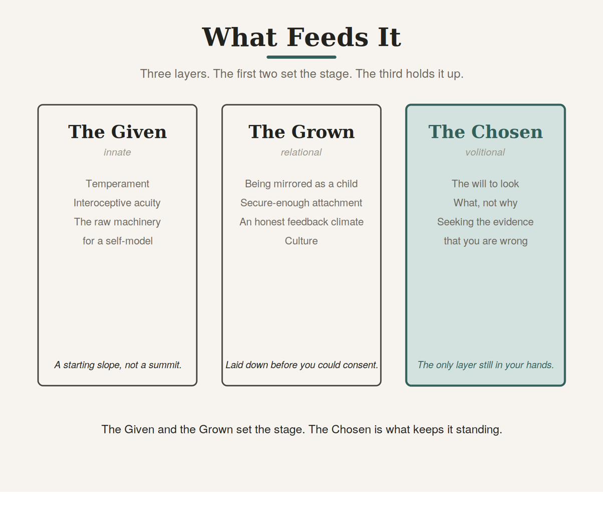 What feeds it: the Given, the Grown, and the Chosen.