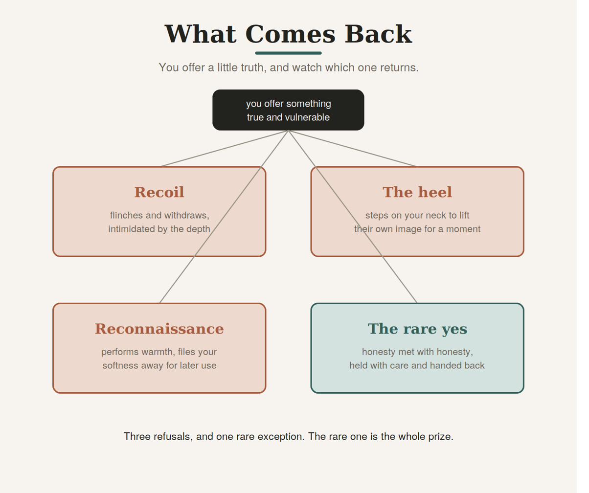 What comes back when you offer a little truth.